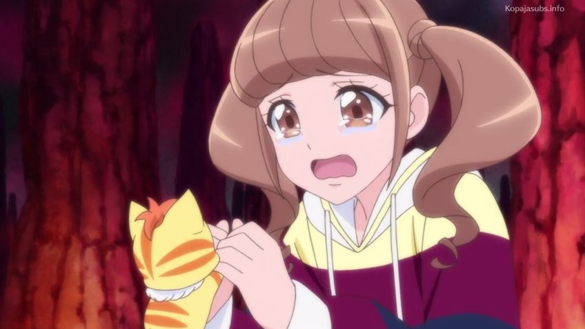 Healin' Good Precure Episode 33 Sub Indonesia - BiliBili