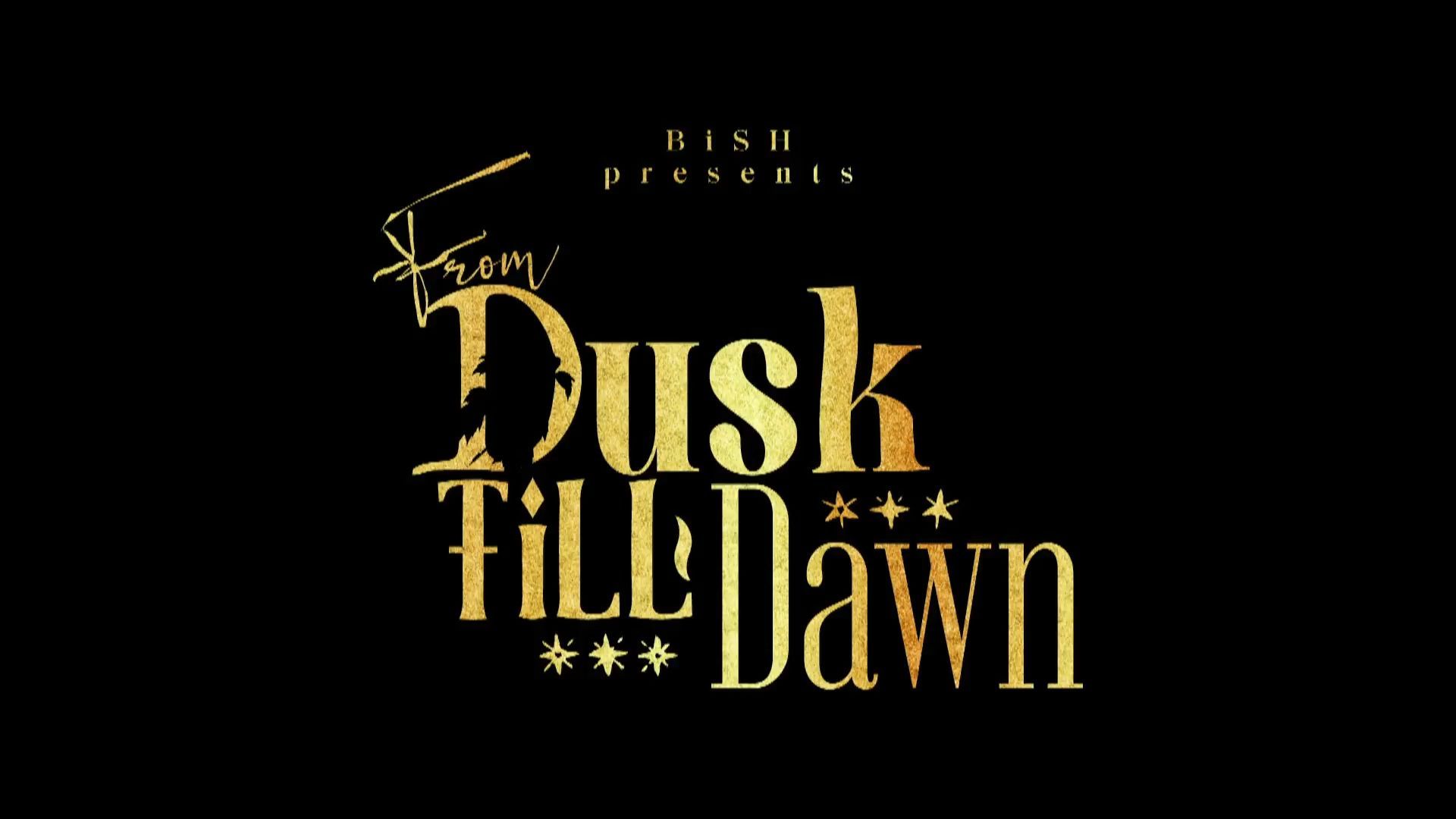 激安限定販売 BiSH/BiSH presents FROM DUSK TiLL DAWN〈… | www.barkat.tv