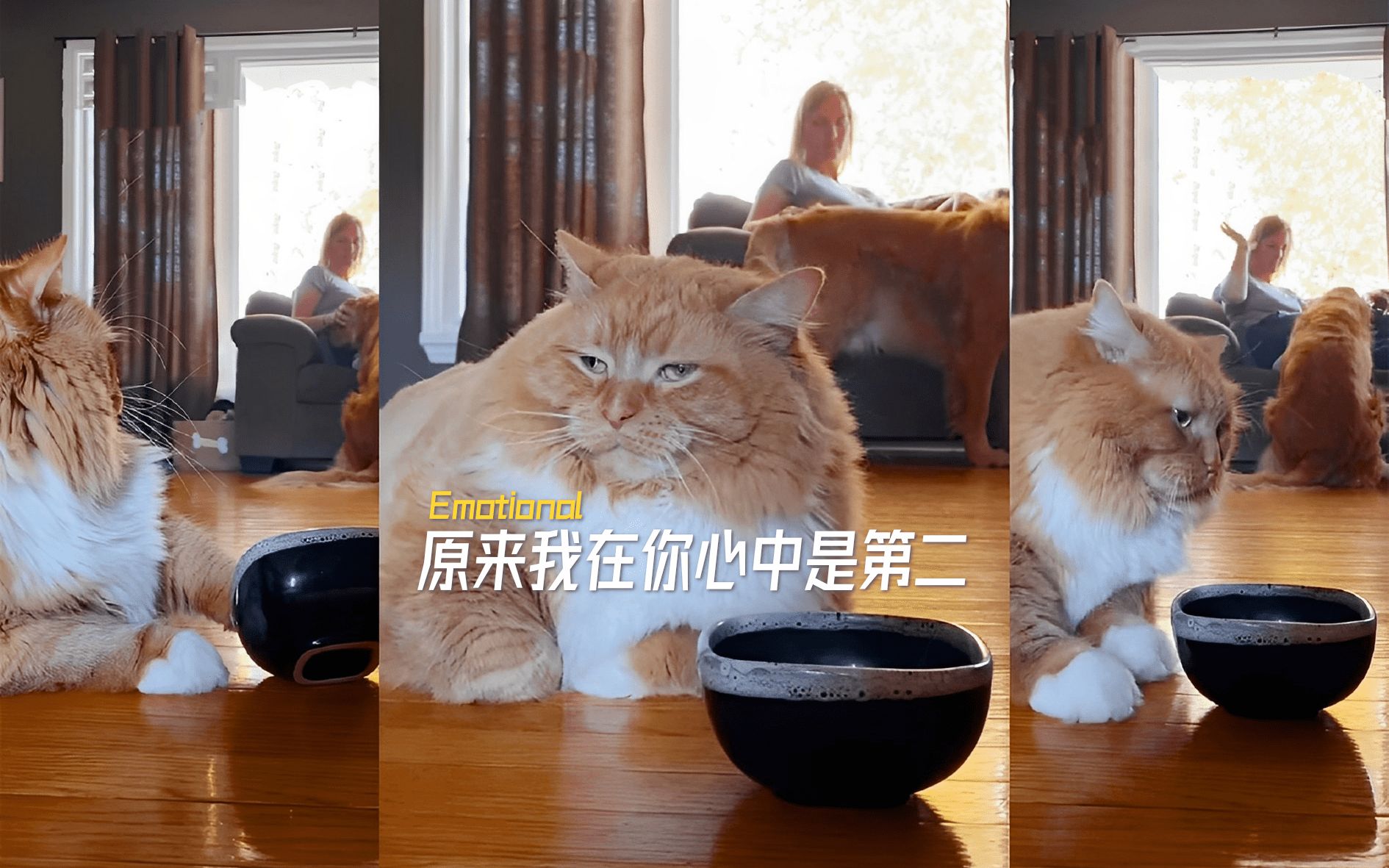 At that moment, you realize you’re not the favorite after all 😐 - BiliBili