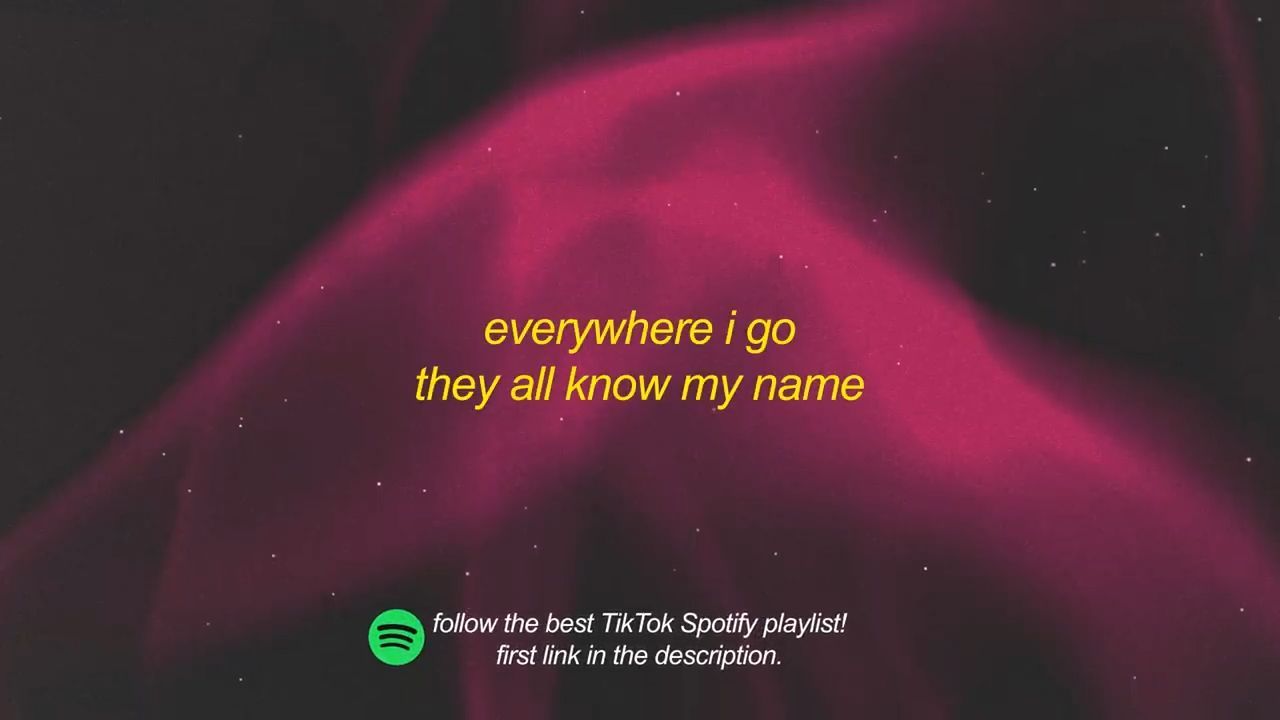 BABYXSOSA - EVERYWHEREIGO (TikTok Remix) Lyrics everywhere i go