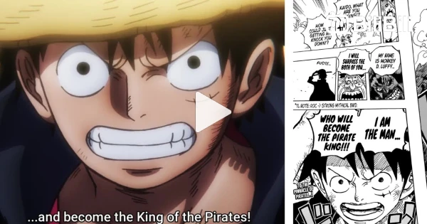 Monkey D Luffy 1015  One piece episodes, Manga anime one piece, One piece  anime