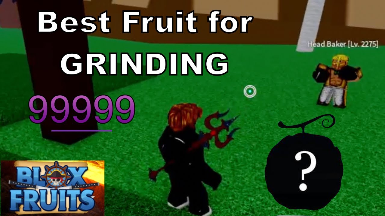 Best Fruit in Blox Fruits