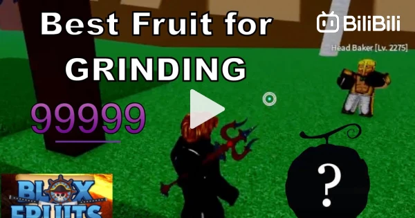 The Blox Fruits Grind 