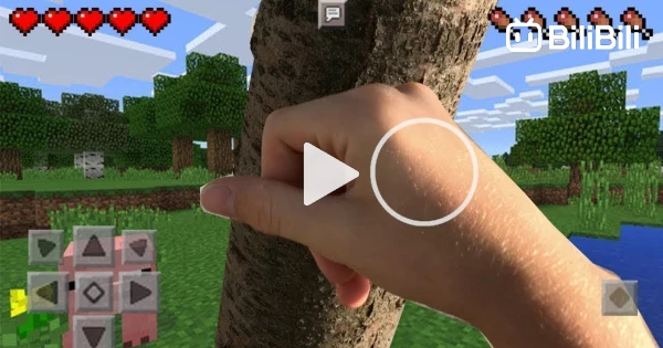 Minecraft in Real Life - realistic minecraft animation - BiliBili