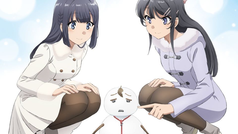 SEISHUN BUTA YAROU WA YUMEMIRU SHOUJO NO YUME WO MINAI - BiliBili