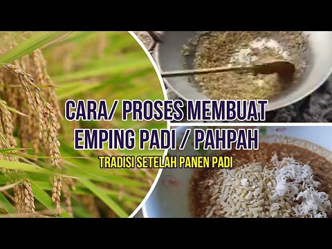 CARA MEMBUAT EMPING PADI PAHPAH - BiliBili