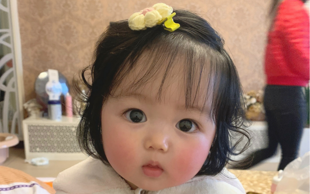 The Evolutionary History of Human Pufferfish - BiliBili