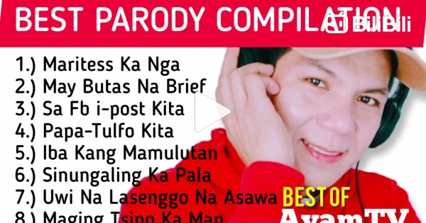 Parody Rnb Song Funniest parody song compilation - BiliBili
