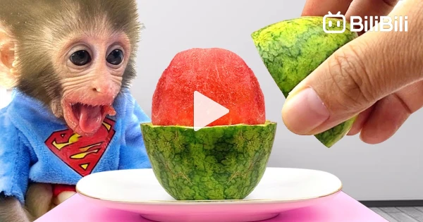 Monkey Baby Bon Bon eats Watermelon Jelly with puppies and bathes with  ducklings in the bathroom 