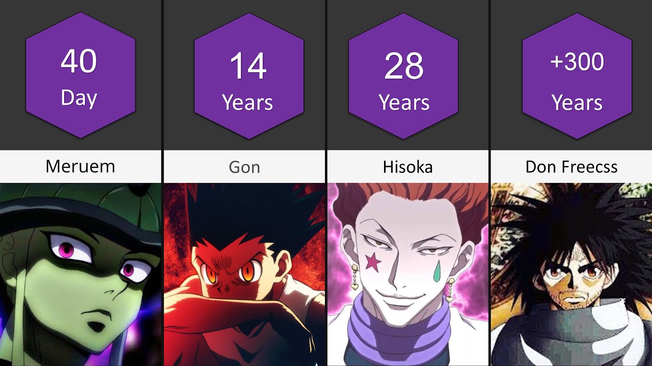 Ages of 15 important Hunters in Hunter X Hunter at the end of the