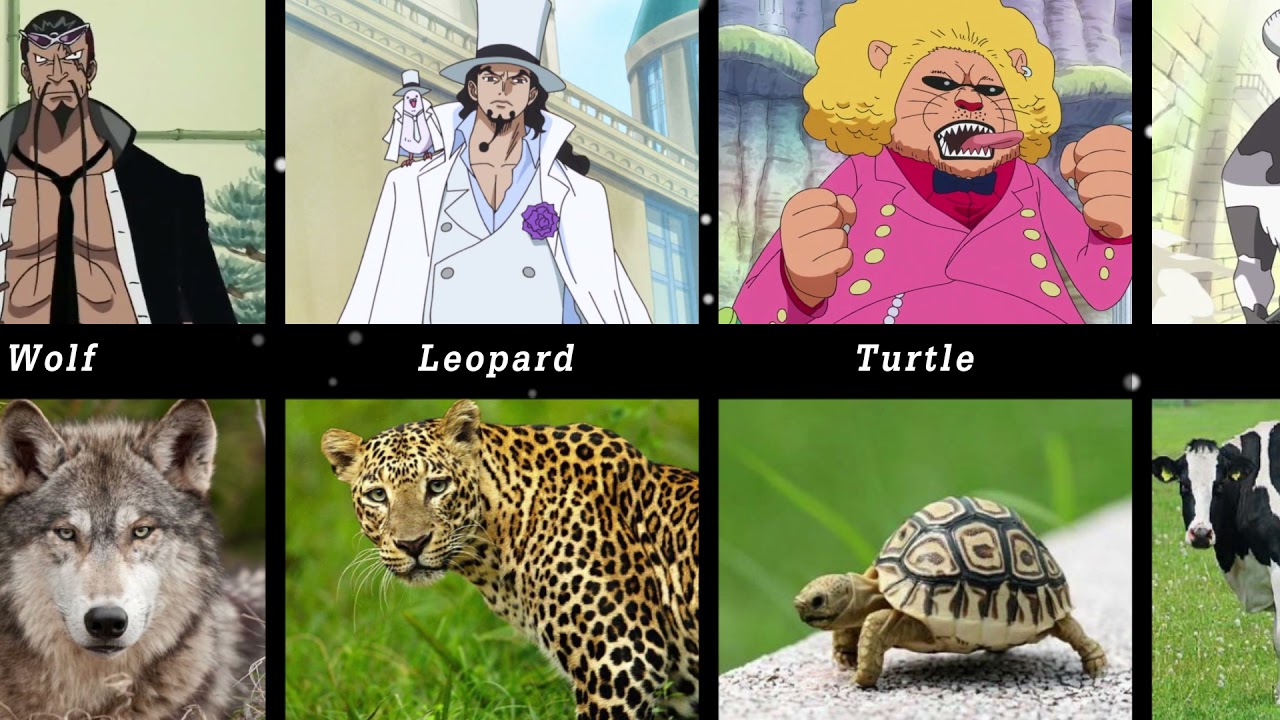 One Piece: A Complete Guide to Ancient Zoan Devil Fruit Users