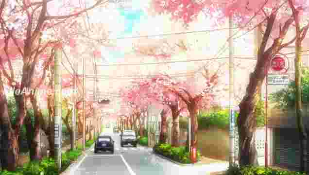 YOUR LIE IN APRIL -payphone - BiliBili