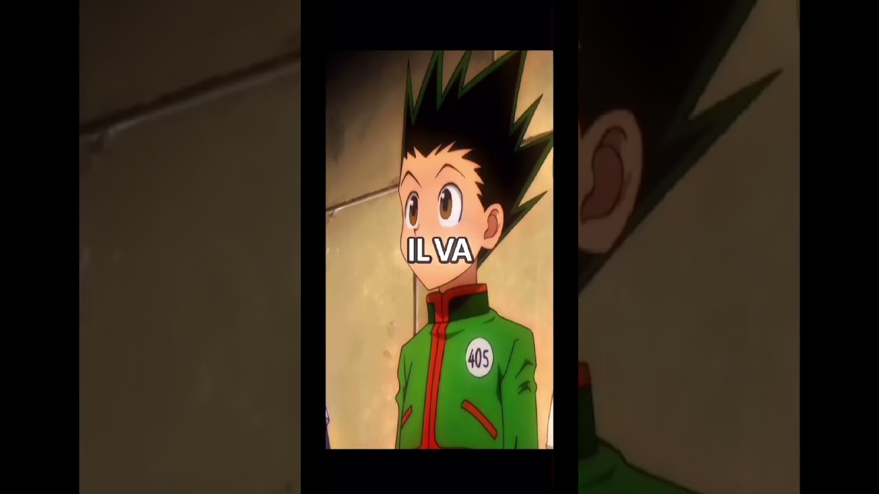 Hunter x Hunter - 1999 vs 2011 (Gon vs Hanzo) - BiliBili