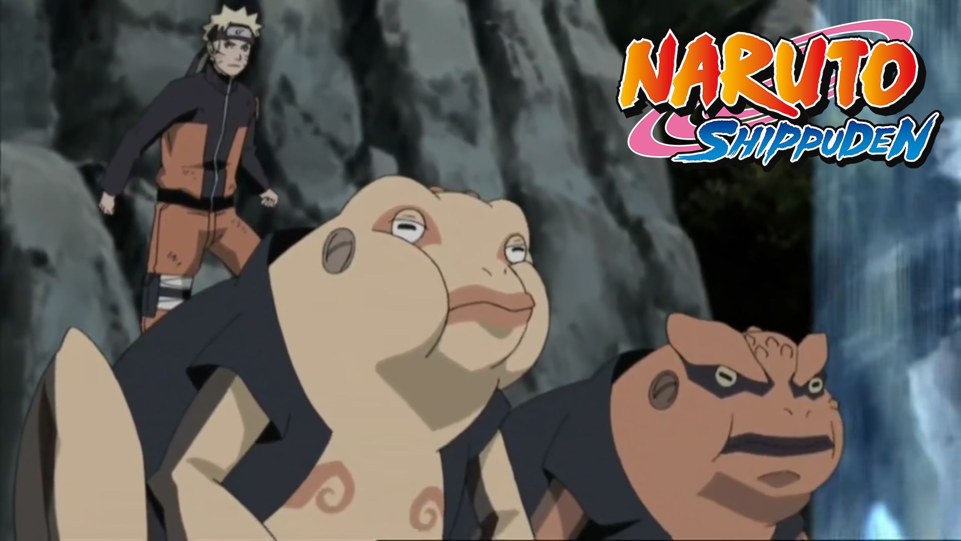 Naruto Shippuuden Season 1 Episode 113 - Watch Naruto Shippuuden S01E113  Online