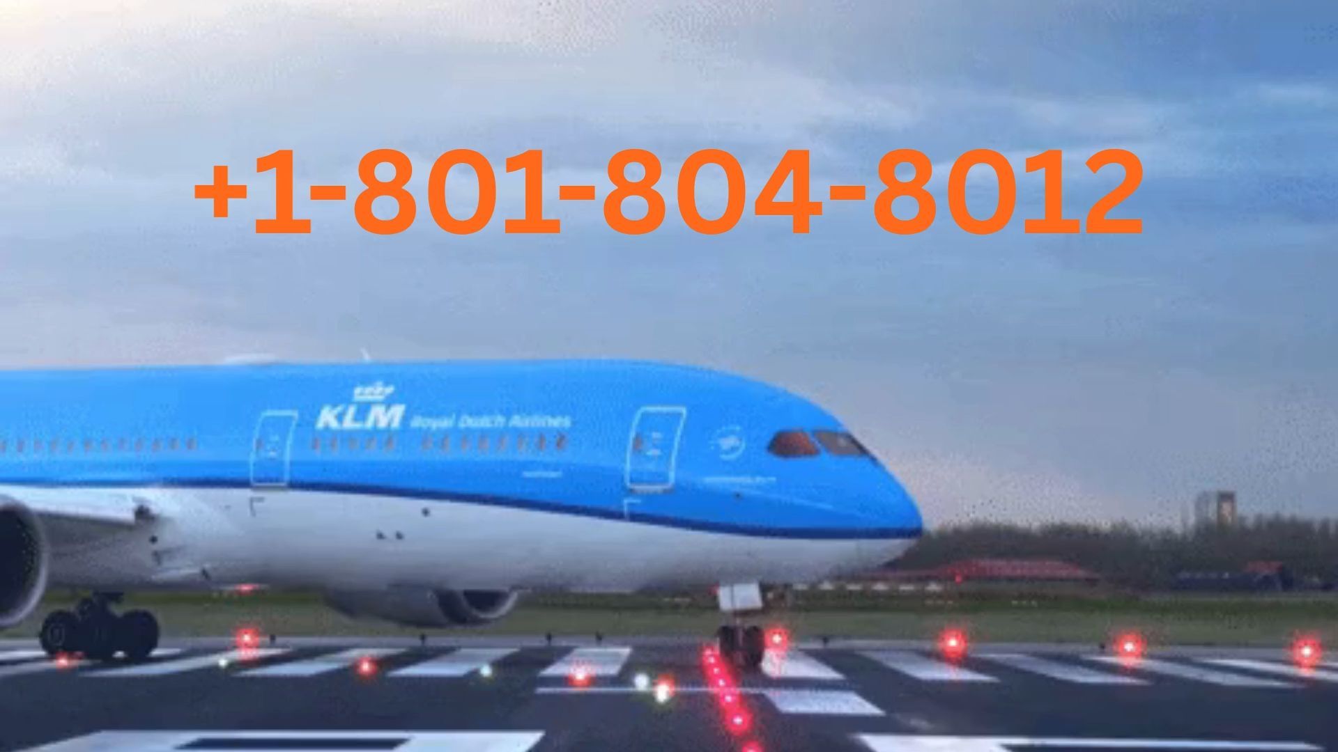 Número de Teléfono de Atención al Cliente de *** Priceline® => Contacto Directo 2026 - BiliBili
