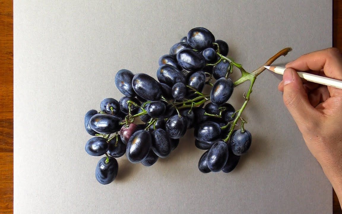 Hand drawn grapes. Original from Biodiversity Heritage Lib… | Flickr