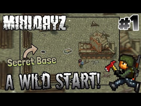 Mini DayZ - Among one of the biggest Mini DayZ mysteries