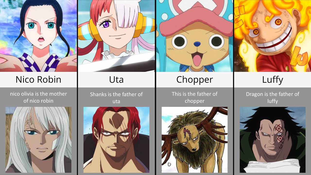 Age of One Piece Characters - BiliBili