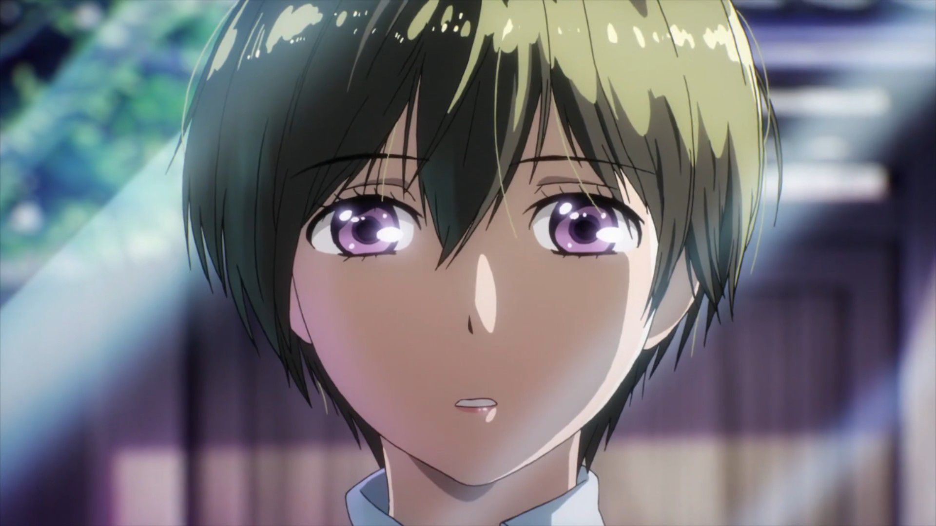 Bokura wa Minna Kawaisou: Episode 1 [First Impressions] – WrittenLoot