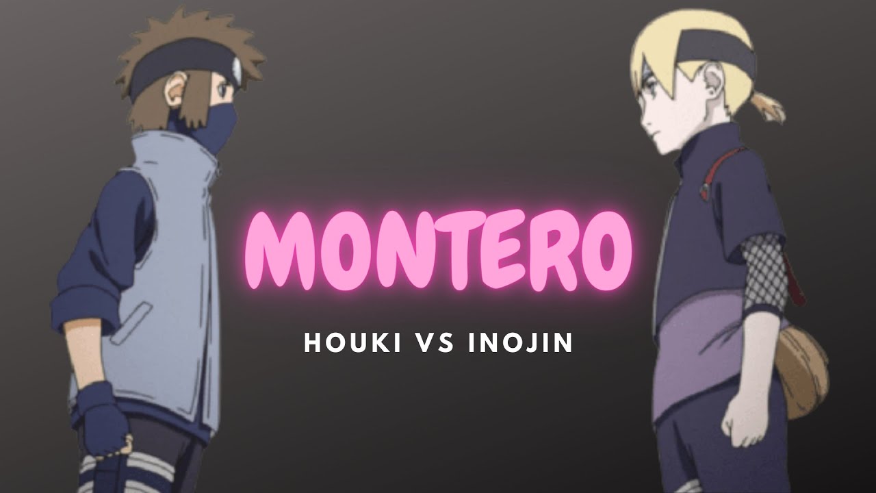 Inojin vs Houki  Boruto: Naruto Next Generations 