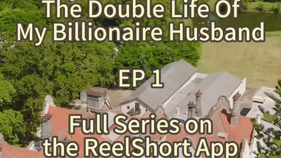 The Double Life of My Billionaire Hubby