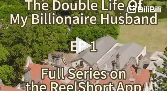 The Double Life of My Billionaire Hubby