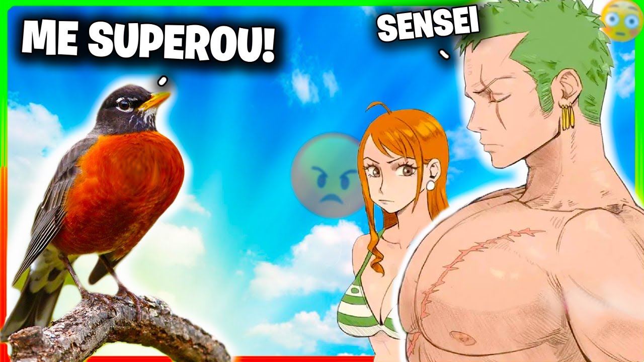 meme zoro sola