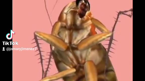 cockroach dance funny - BiliBili