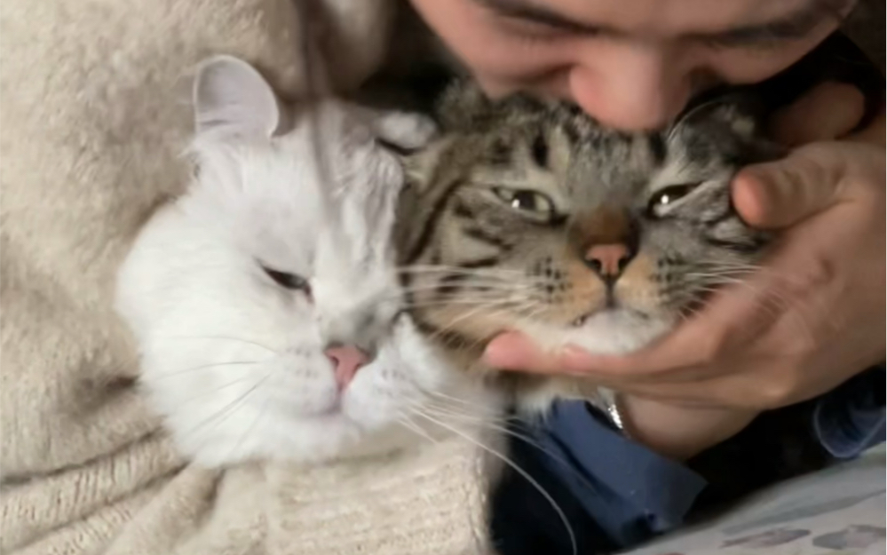 Black and White Pairing - BiliBili