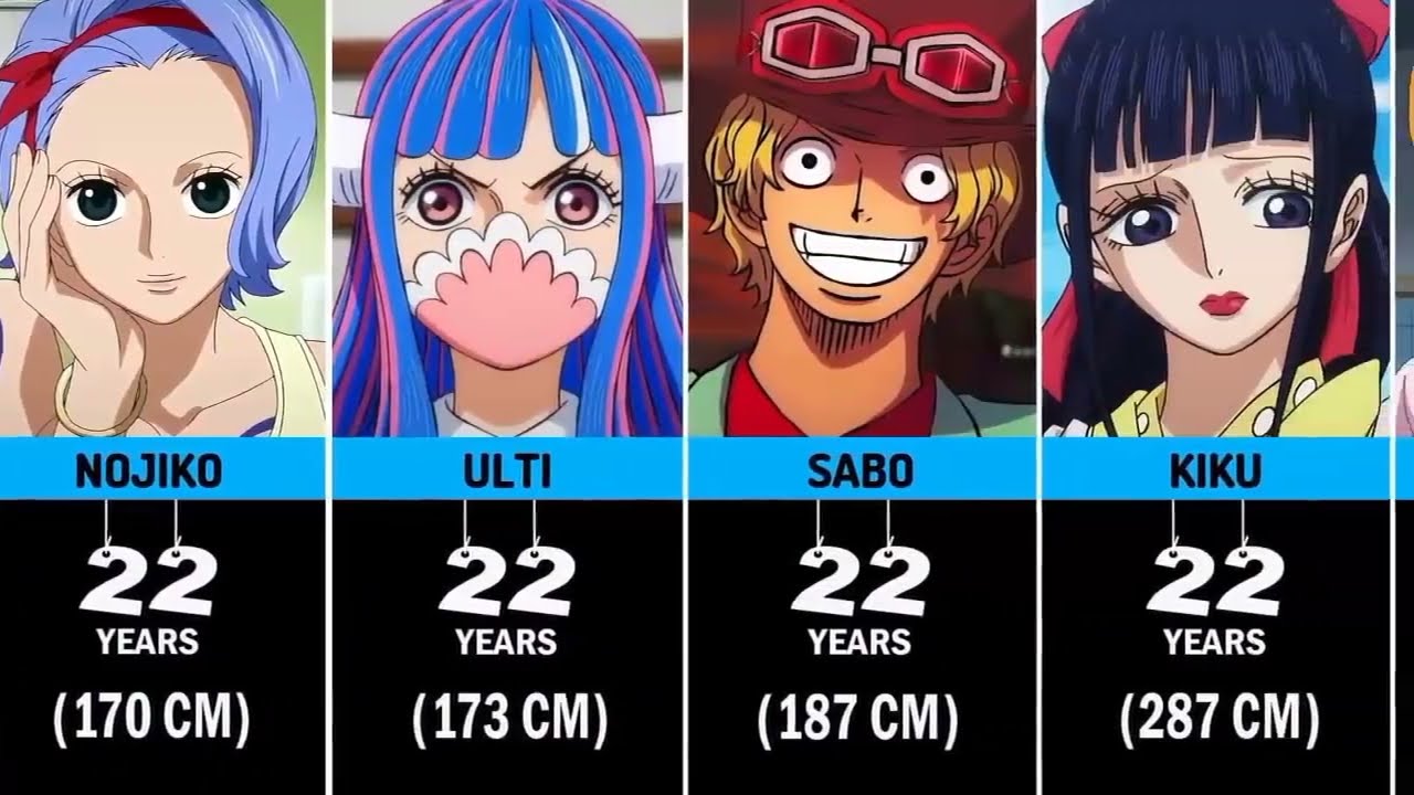 Age of One Piece Characters - BiliBili