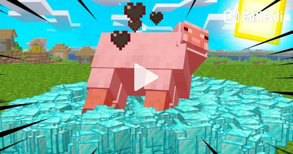 Minecraft: When Mob Drops Are Completely Random - BiliBili