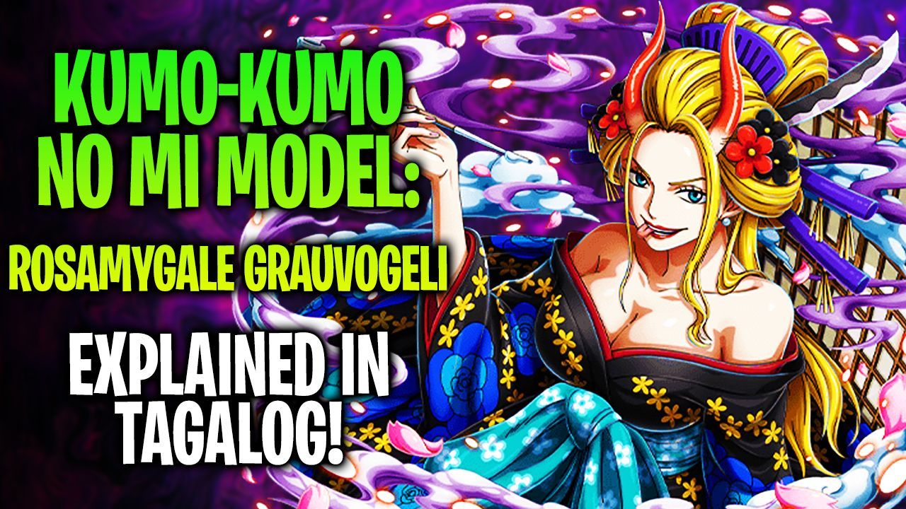 Kumo Kumo no Mi, Model: Rosamygale Grauvogeli in One Piece