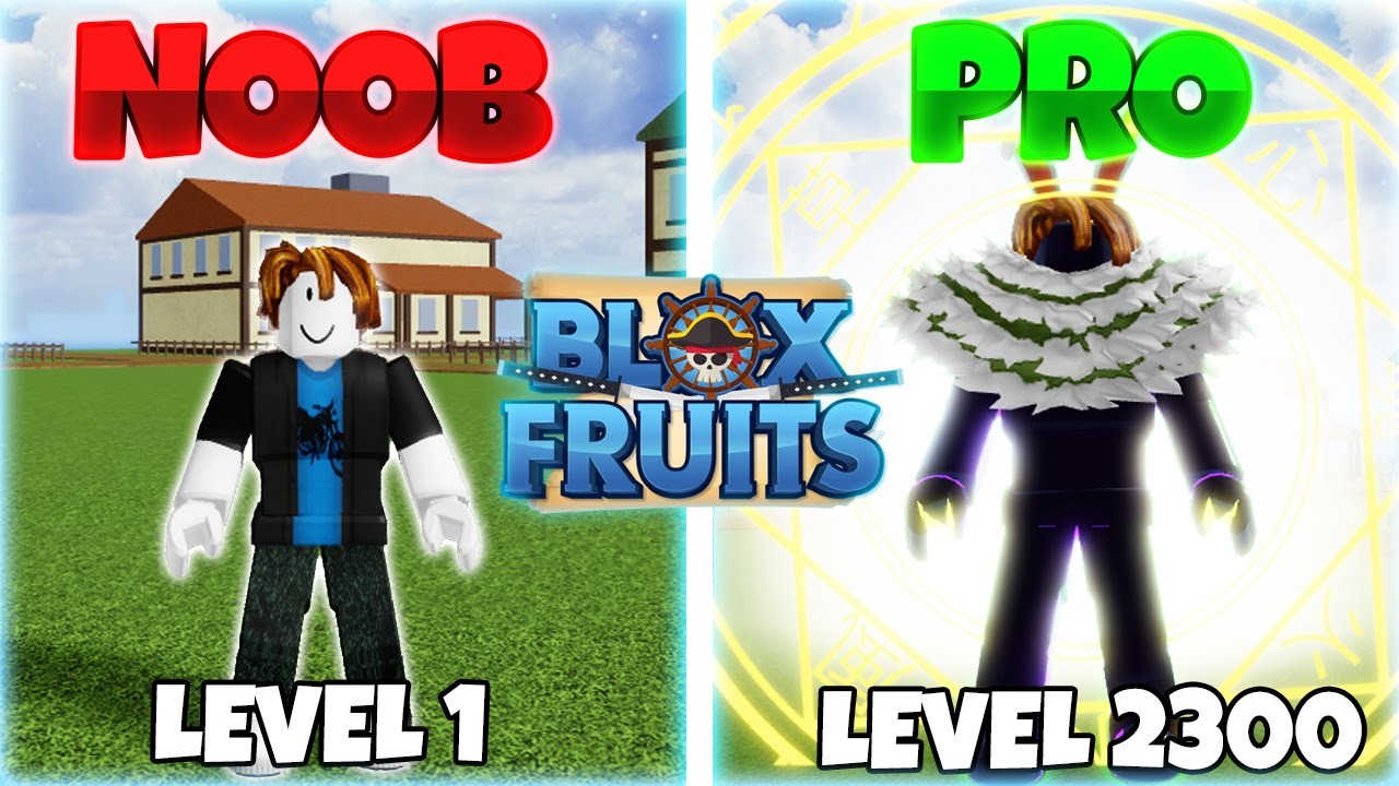 Noob to Pro Using PORTAL FRUIT - Bloxfruits - BiliBili