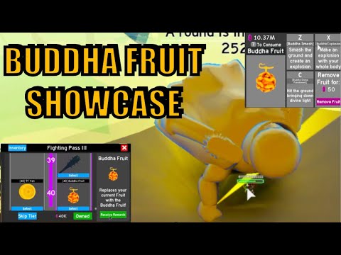 Light Fruit Showcase - Roblox - Blox Piece 