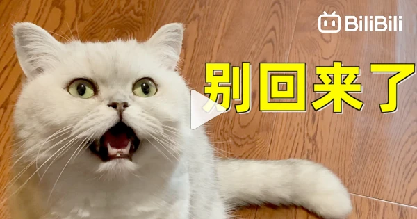 The owner returned home from a business trip without any dried fish ...