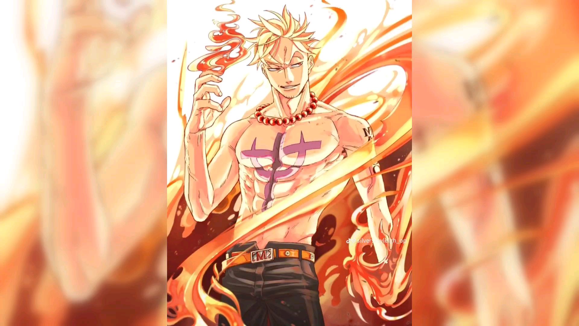 Marco The Phoenix (One Piece) takes on Pain (Naruto)!