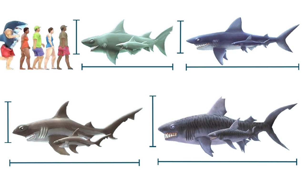 ALL NEW VIP SHARKS (HUNGRY SHARK WORLD) 