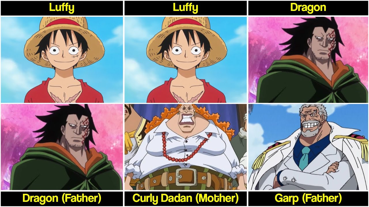 Death Episode of One Piece Characters - BiliBili