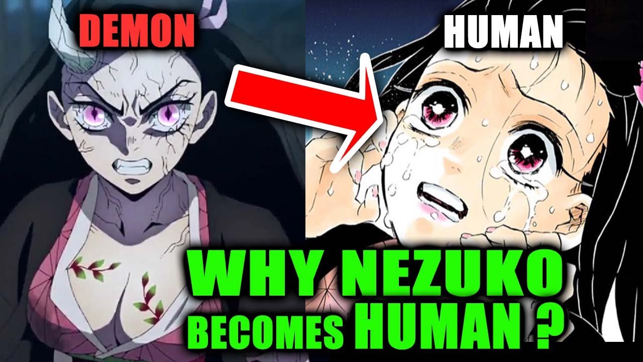 does nezuko become a human