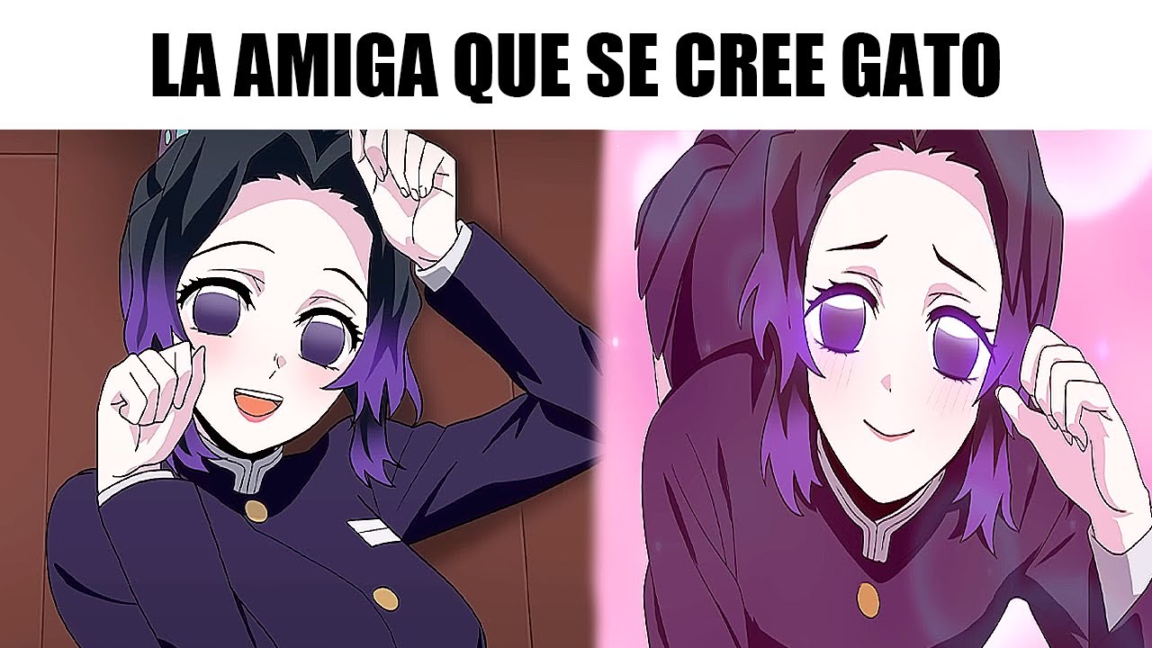 MEMES ANIME DE KIMETSU NO YAIBA: DEMON SLAYER #27 