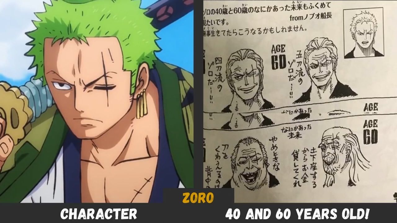 Age of One Piece Characters - BiliBili