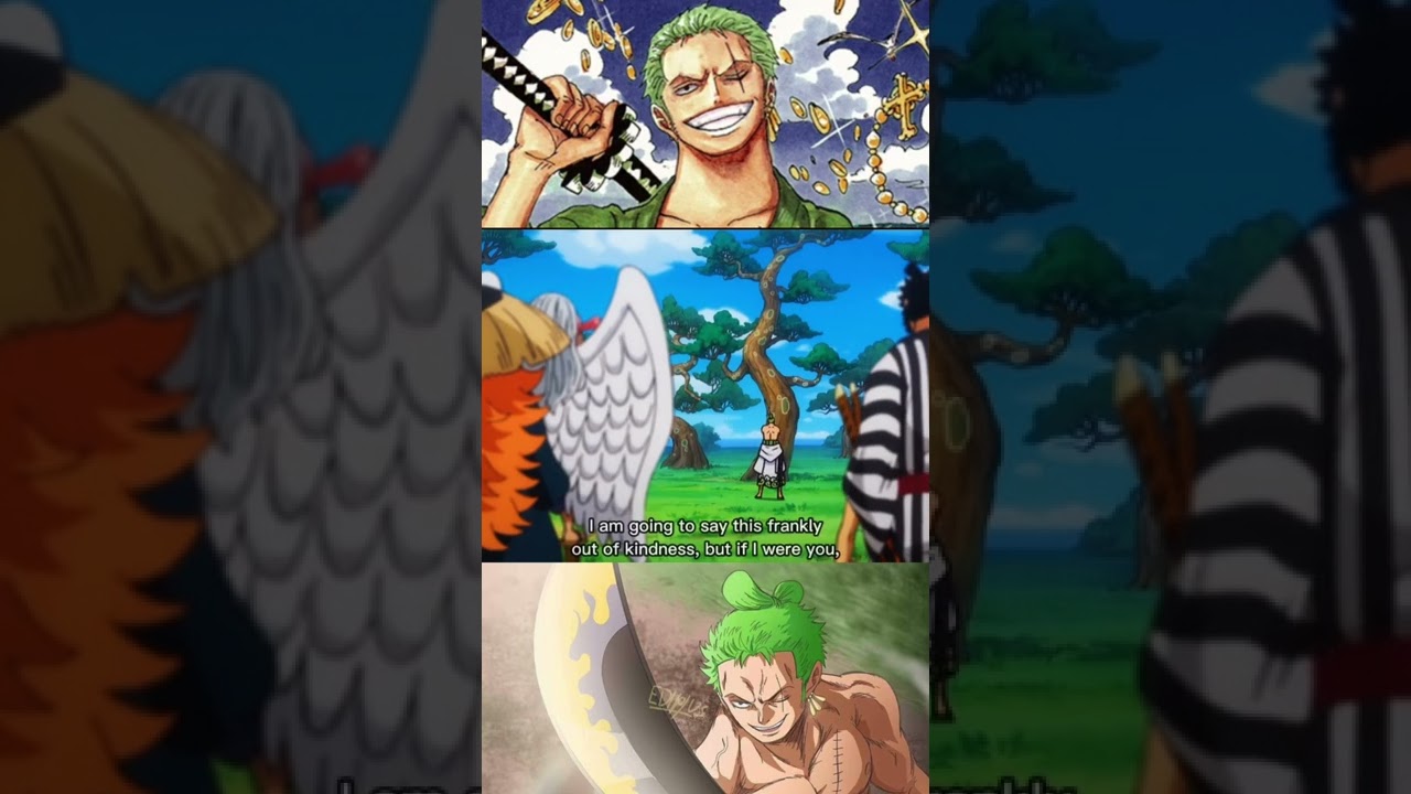 Zoro and Enma - BiliBili