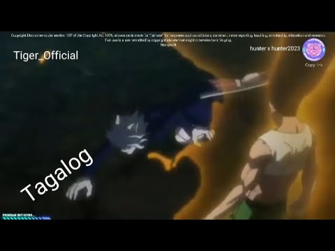 Gon vs Pitou Full Fight (60fps) - BiliBili