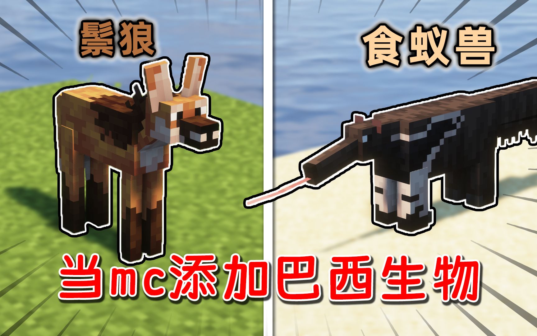 MC adds more Brazilian creatures! Can the maned wolf’s scent attract ...
