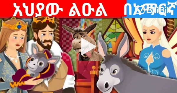 Teret Teret Amharic New teret Teret Amharic Fairy Tale Donkey s teret-teret-amharic-new-teret-teret-amharic-fairy-tale-donkey-s